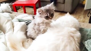 Waking up with my loving family