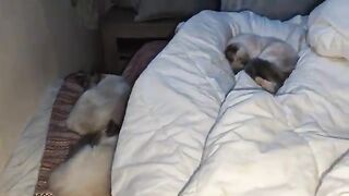 She doesnt want me to wake up.