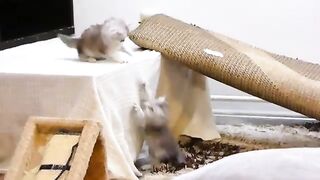 Competition for power