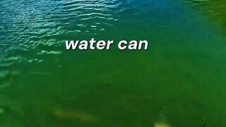 Calm Waters Build Strong Minds  Fishing Motivation