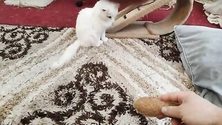 The mother left her son and came to play