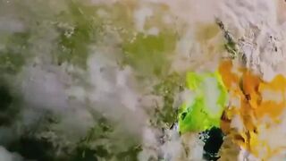 Big Cat Predator Ruler of the Savanna