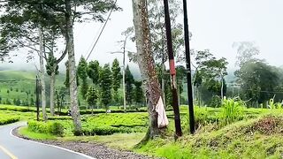 View ciwidey beres hujan