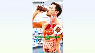 WHAT HAPPENS WHILE YOU DRINKING WATER IN HUMAN BODY