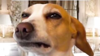 Something to think about