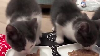Lunch time