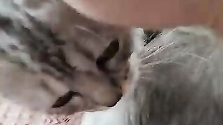 sweet morning with my kittens