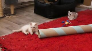 Ragdoll team in tunnel game
