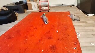 Jump and chase laser