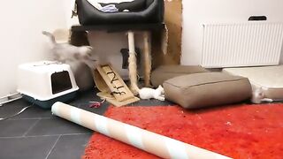 He defends his sister even though he is small