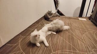 Being a mother and wife at the same time