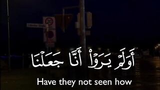 Tilawat e Quran Majeed