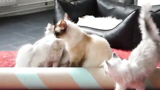 When the children become bigger and stronger than the mother, but they still need her hugs