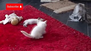 The troublemaker who starts playing when everyone is asleep