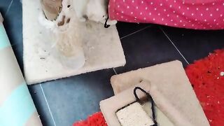 He plays alone in a funny way