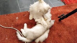 cute moment with dad