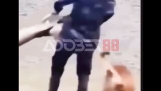 Lagi resein anjing di puter-puter