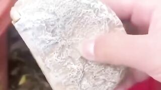 ایسے موقعے پر کیا کرنا چاہیے