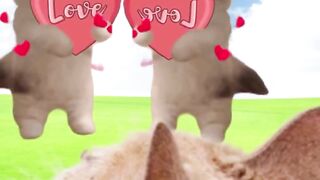 Funny cat