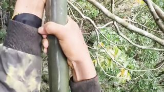 forest honey bee harvesting process