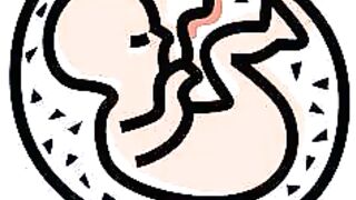 Vitenskapelige mirakler i Koranen og Sunnah 17