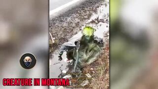 top secret file  مقاطع مخيفة