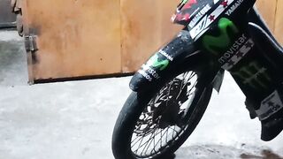 Kucing
