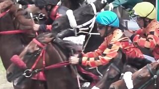 Equine racing championship