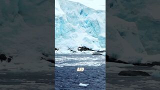 The Secrets of Antarctica Cracking the Code of the Coldest Continent on Earth