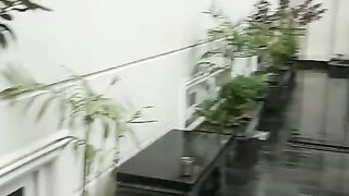 rainy and gareen plant weather