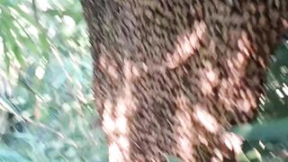 super forest honey bee