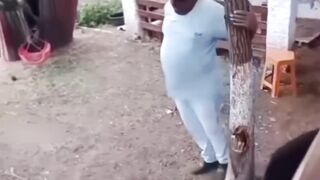 Lamb kebabs for dinner