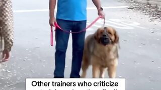 How Force Free Trainers Act Around Dogs That Actually Need Help. The Dog Daddy1