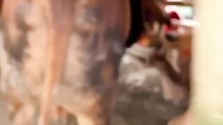 You couldnt find a worse friend than this