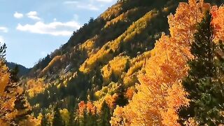 Coloradi