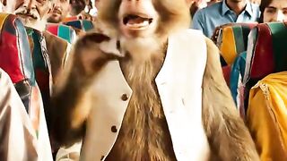 Ustad gaddi rok gaddi Atif shalwar with --TikTok Team please Dont undviwe My video--.