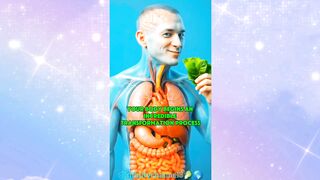 WHAT HAPPENS WHILE YOU EATING SPINACH IN HUMAN BODY