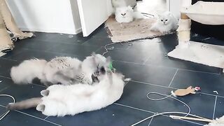 new day new fun