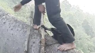 the process of harvesting native forest honey bees at high altitudes