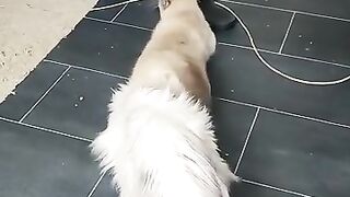 Seal mating