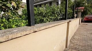 Three cats on the wall beg us for food with their sweetest meows.