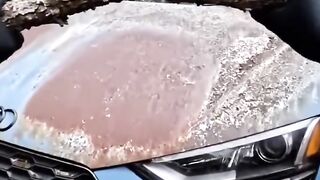 Restoring a 200,000 Audi R8 Found Abandoned in the Forest! (FULL RESTORATION PROCESS).mp4