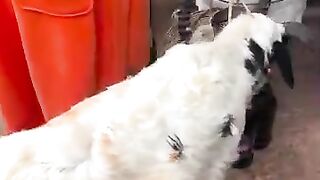 WhatsApp 2349053366074 Effective Love Spells To Bring Back Your Ex Lover Now