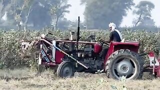 rahmanjutt.43 - 7585764844414995719.mp4