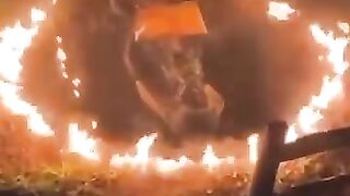 256771638075 I NEED INSTANT DEATH SPELL CASTER ONLINE