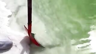 Natural salt
