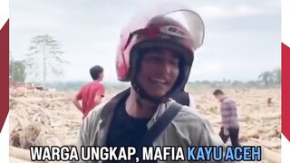 Warga Aceh Bongkar Aksi Mafia Kayu Angkut Gelondongan Pascabencana