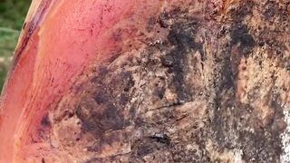old meat
