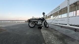 Royal Enfield is popular with cats too. I mean, I cant go home.