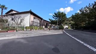 The cat that walked over here and lay down in front of me was so cute